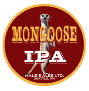 HALE'S MONGOOSE